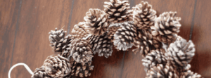 Close up of a portion of a pinecone wreath